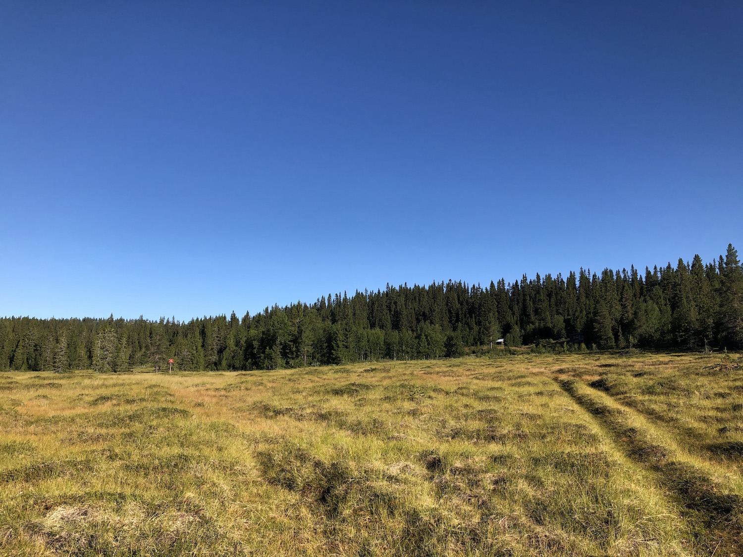 Välkommen